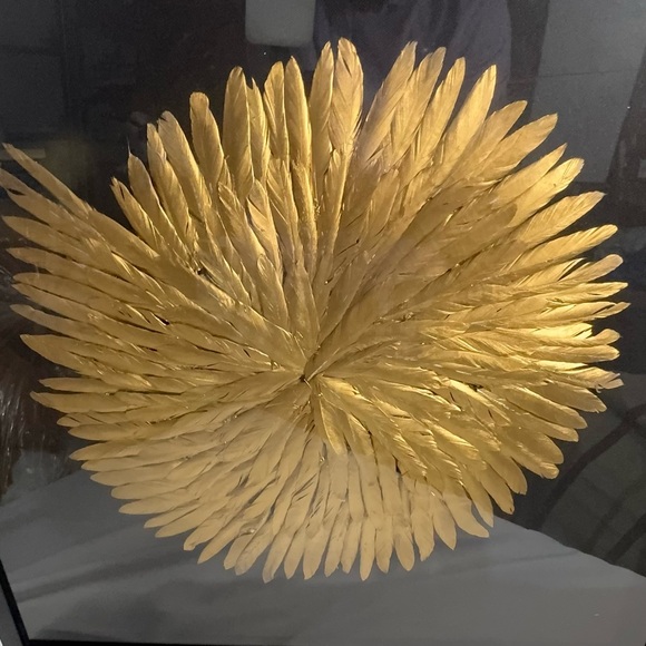 Signed Gold Feather Burst 24x24 Shadow Box Wall Art 1991 Feather Collection